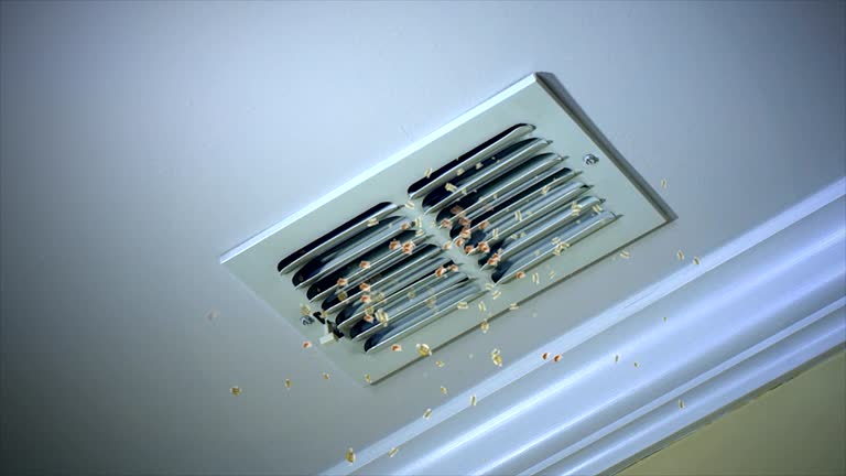 Best Duct Cleaning for Offices  in Indianola, WA